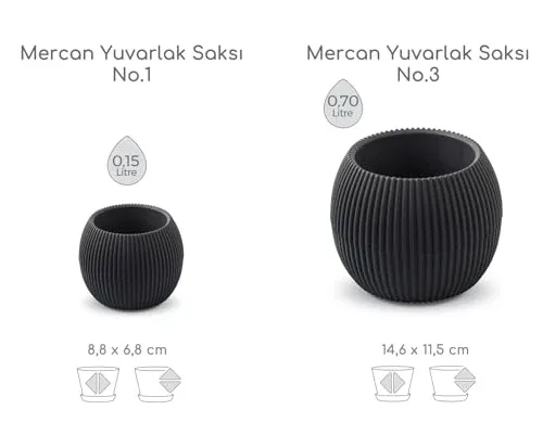 1 No Mercan Saksı 8,8x6,8 cm 0,15 Litre